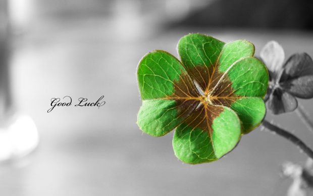 Backgrounds St Patricks Day Desktop Images.