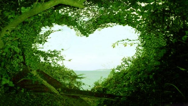 Beautiful love nature wallpaper hd desktop.