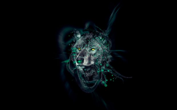 Black Wolf Face Desktop Wallpapers.