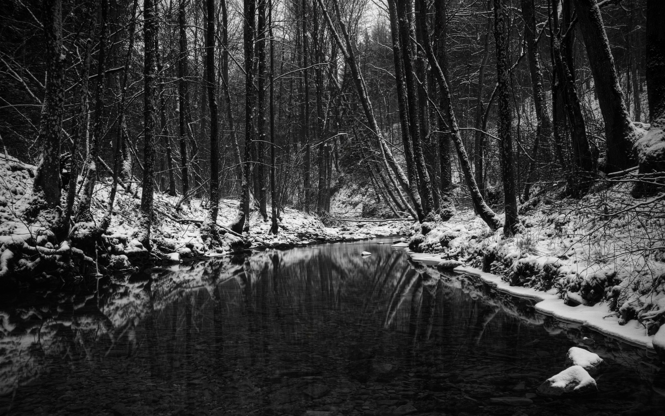 Hd Black And White Backgrounds Pixelstalk Net