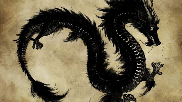 Black chinese dragon wallpapers.