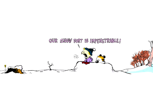 Calvin and hobbes wide wallpapers.