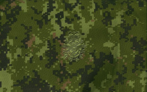 Camo Picture.