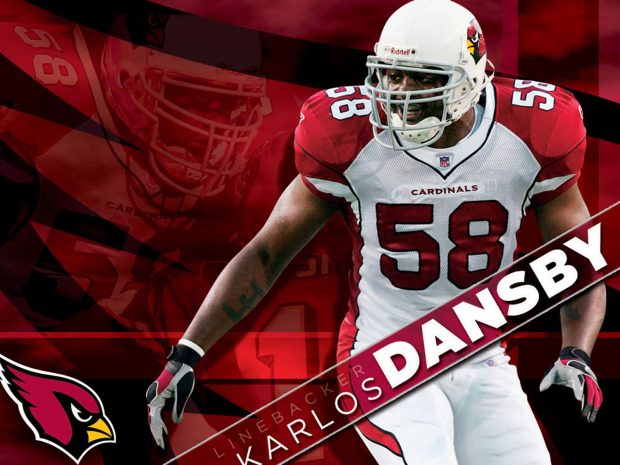 Cardinals Football Wallpaper.