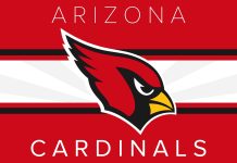 Cardinals Wallpaper HQ.