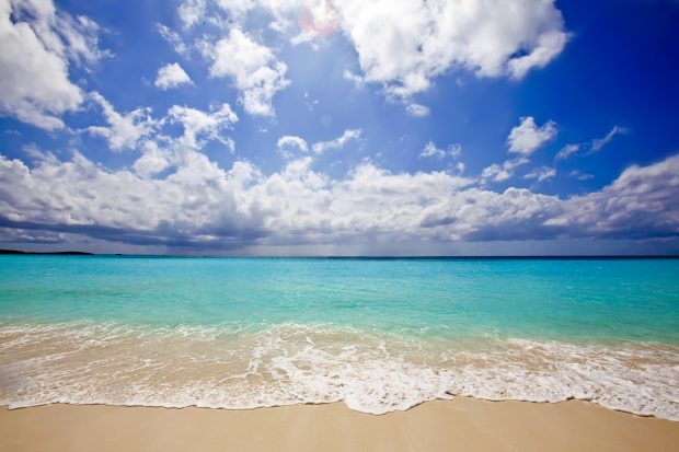 Caribbean beach live wallpaper for pc.