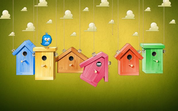 Cartoon wallpaper bird house colorful.