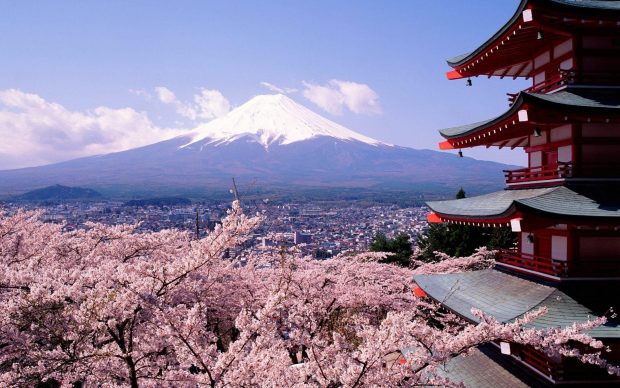 Cherry Blossoms and Mount Fuji Japan Wallpaper.