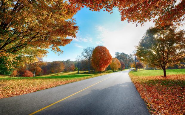 Country Road Autumn Desktop Wallpapers.