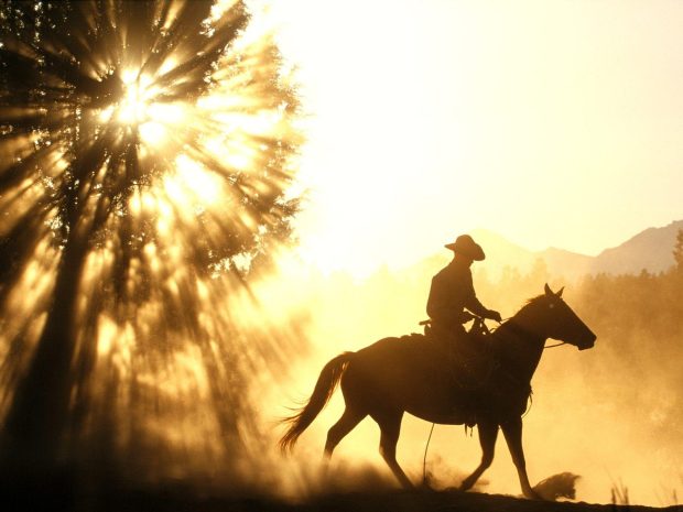 Cowboy Horse Sunset Free Wallpaper 1600x1200.