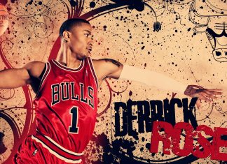 Derrick Rose Bull Basketball Wallpaper HD.
