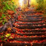 Desktop Fall Wallpapers High Quality.
