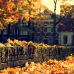 Desktop fall backgrounds images.