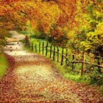 Desktop wallpapers fall colors hd high.