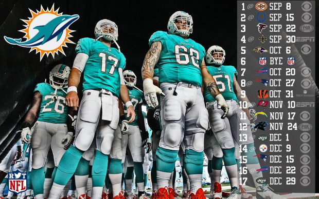 Dolphins wallpapers schedule hd.