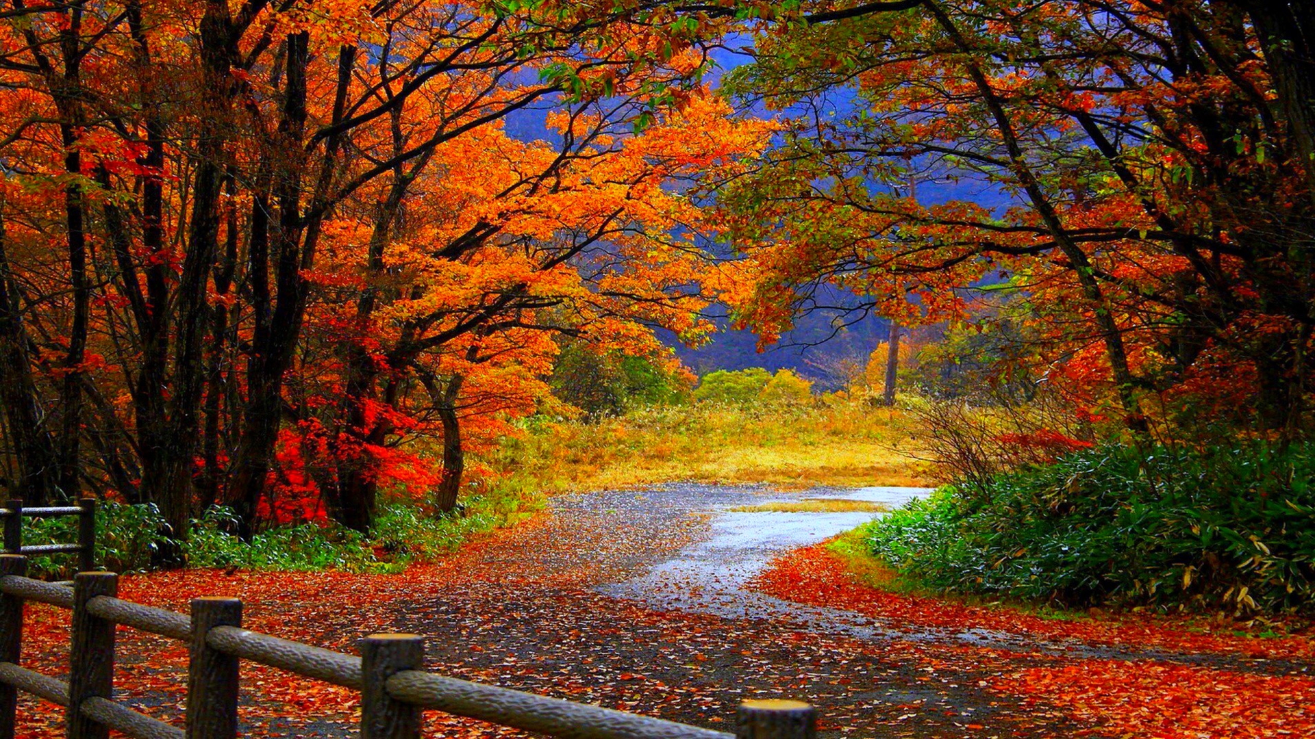 Ultra Wide Autumn Wallpapers  Wallpaper Cave