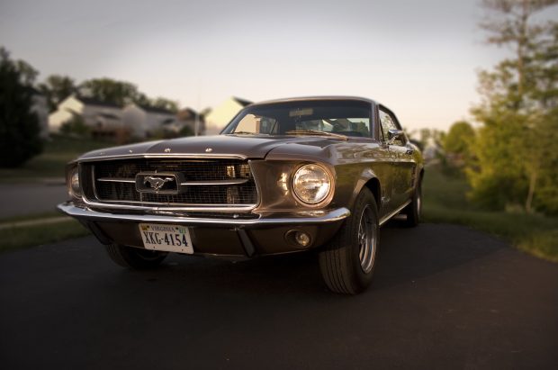 Download ford mustang 1967 backgrounds.