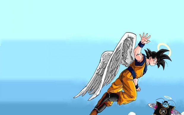 Dragon ball son goku wings hd wallpaper.