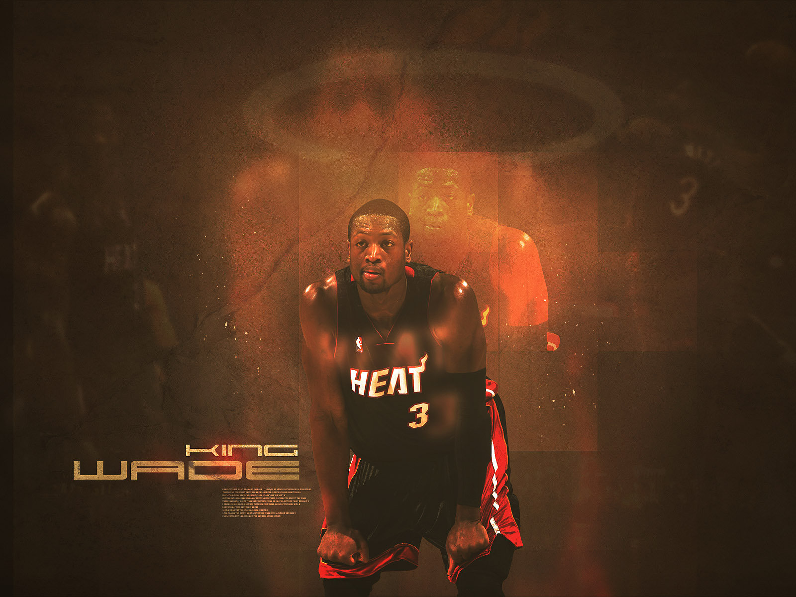 Free download dwyane wade logo HD Wallpaper Desktop Background