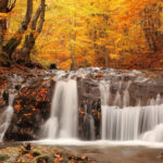 Fall Desktop Wallpapers Images Screen.