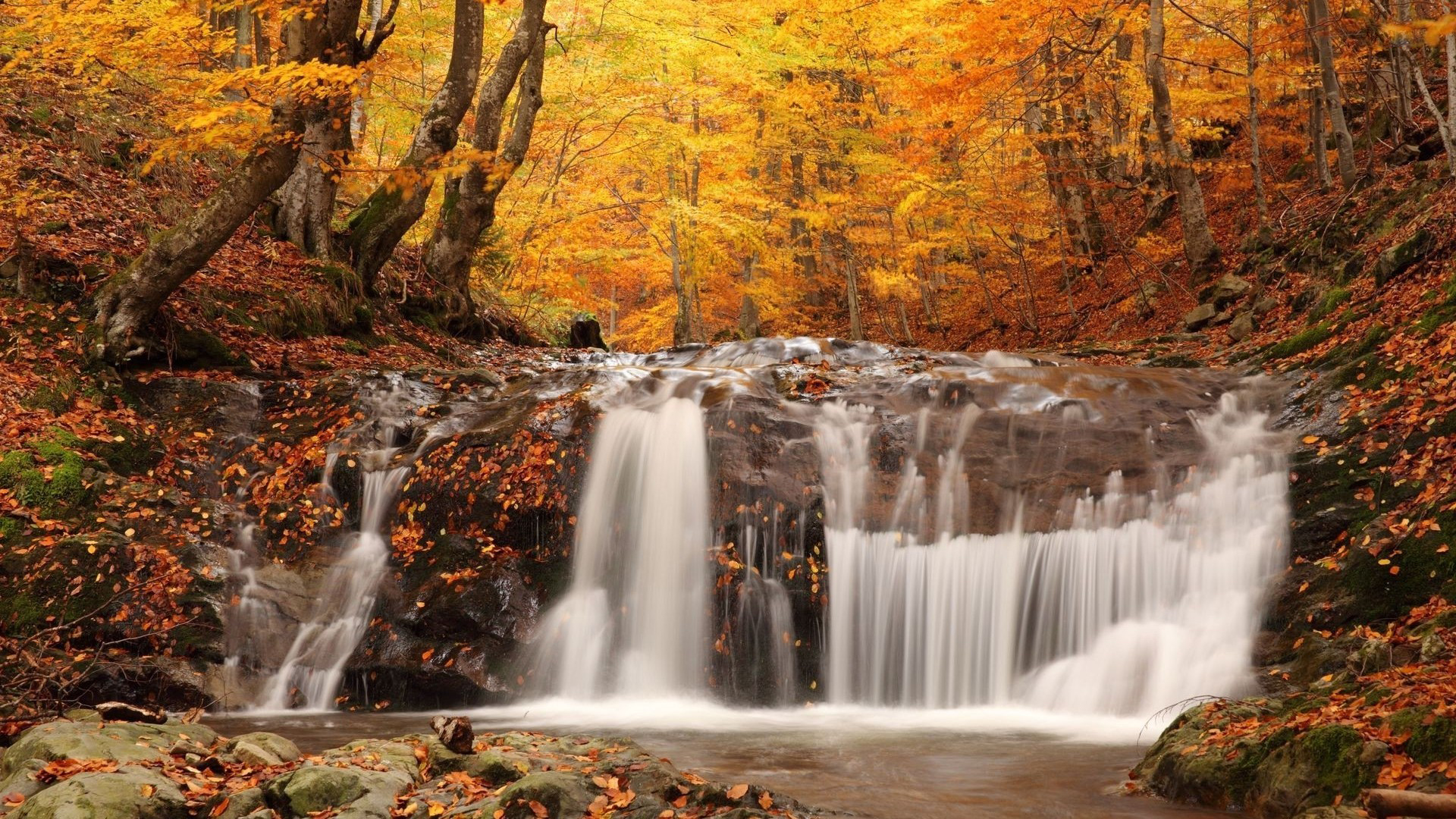 fall wallpapers hd make your desktop