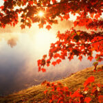 Fall Desktop Wallpapers Photo Desgins.