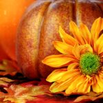 Fall pumpkin desktop wallpaper high.