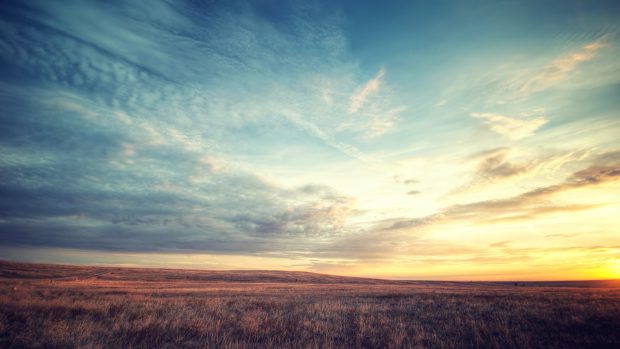 Field dawn sky beautiful scenery backgrounds.