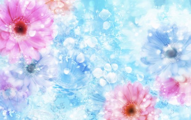 Flowers wallpapers mac background.
