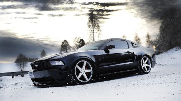 Ford mustang black wallpapers.