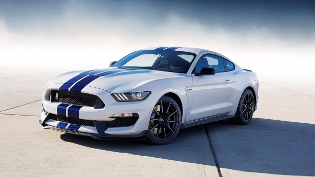 Ford shelby mustang free download.