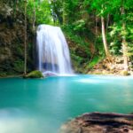 Forest Falls Summer Wallpaper.