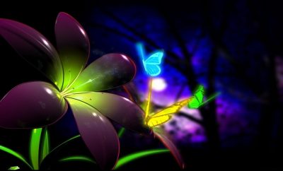 live wallpapers for laptop live wallpapers for laptop