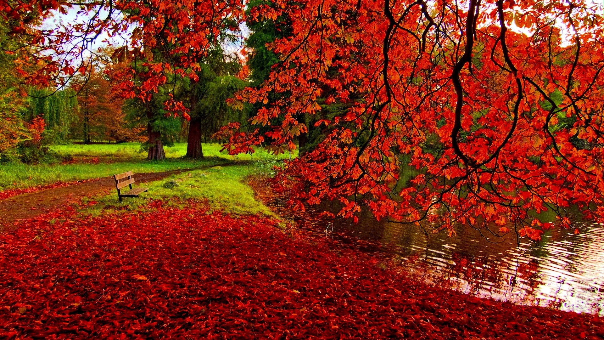 Fall wallpaper HD Download free wallpapers for desktop