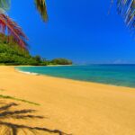 Free Summer Wallpapers.