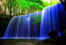 best live wallpaper for pc pixelstalk net