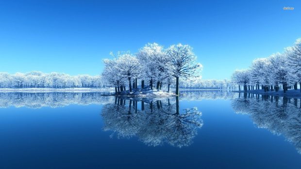 Frosty lakeside trees nature wallpaper.