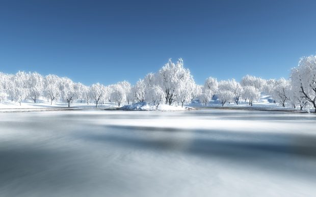 Frozen HD Wallpaper.