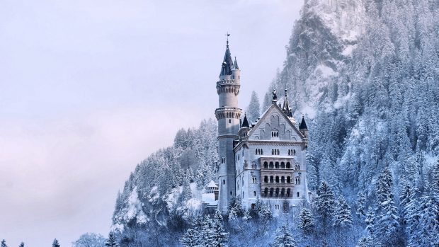 Frozen Neuschwanstein Castle Wallpapers 2560x1440.