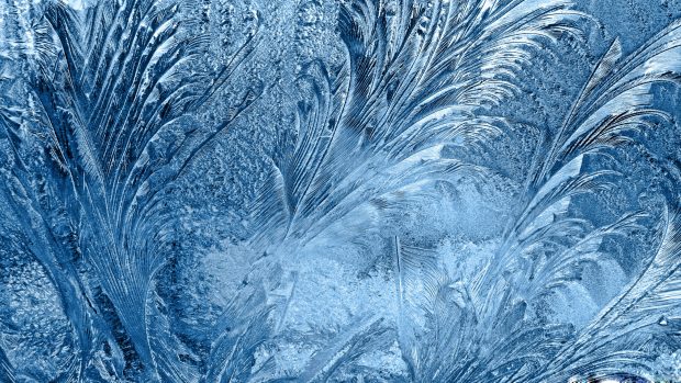 Frozen glass wallpaper backgrounds.