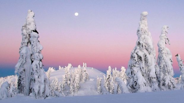 Full moon over frozen nature nature hd wallpapers.