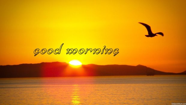 Good Morning Picture Free Download.