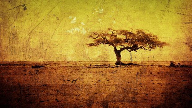 Grunge Tree Wallpaper Widescreen.