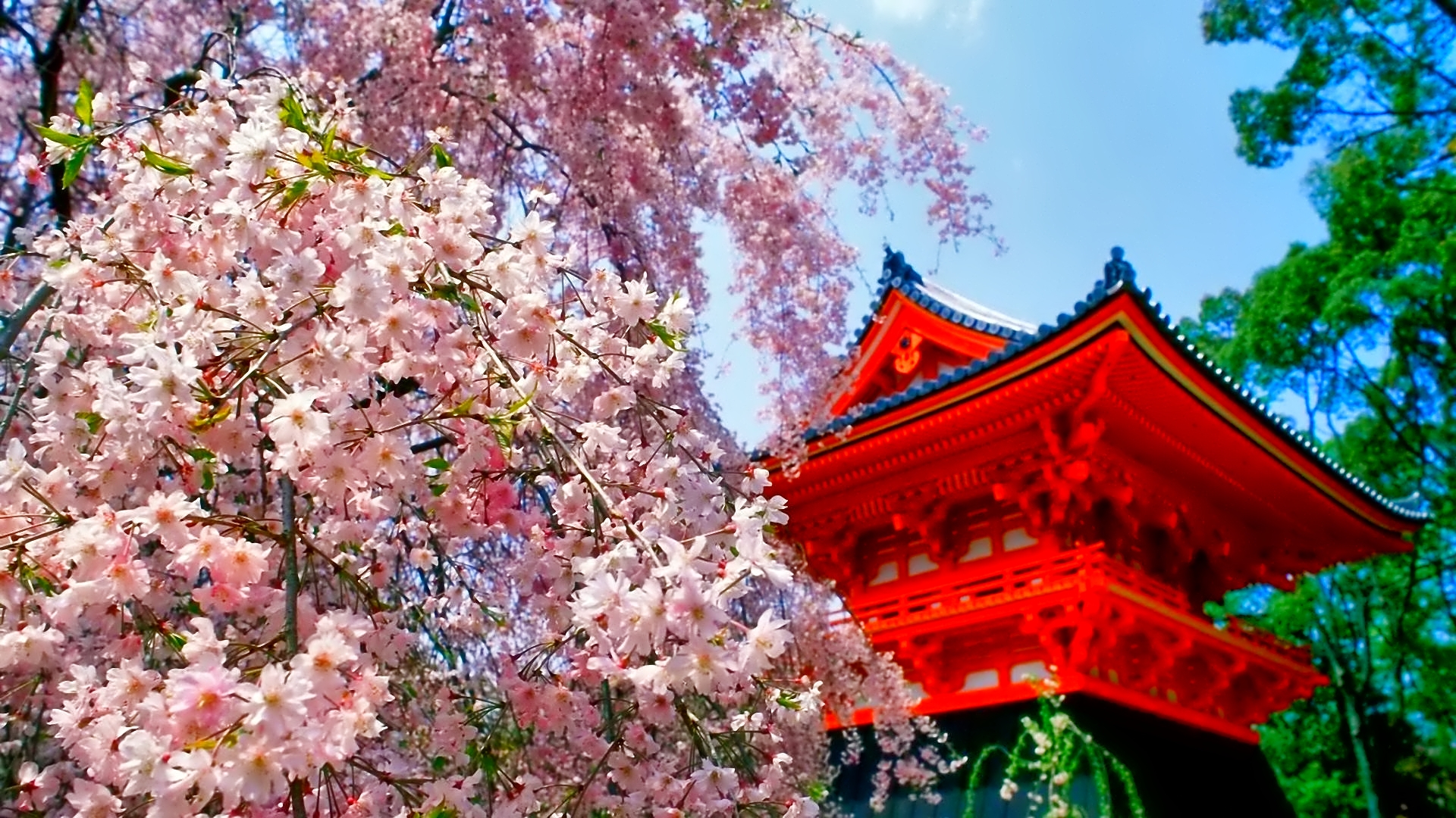  Japan  Wallpapers  Free Download PixelsTalk Net