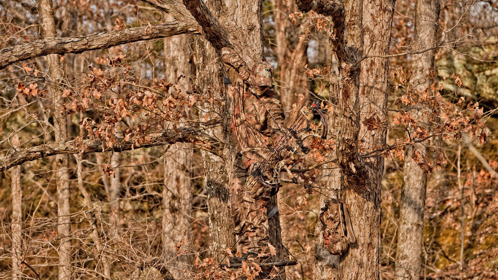 Camo wallpaper Realtree