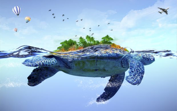 HD Turtle Wallpaper.