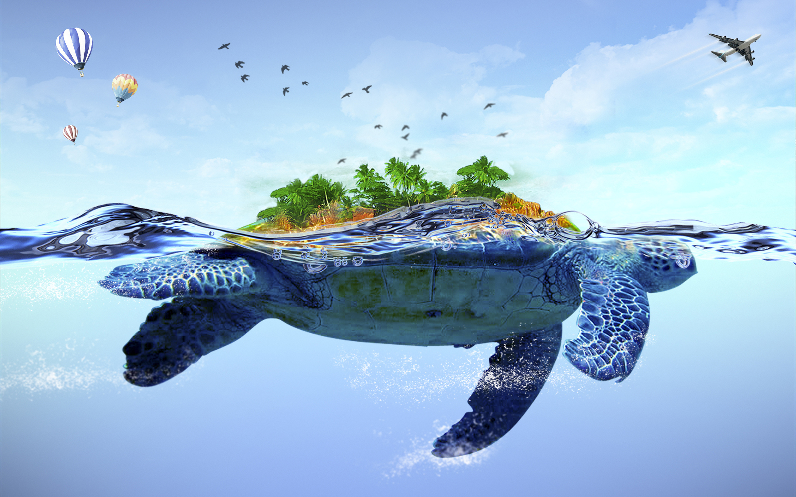 Turtle  Cute Sea Turtle Wallpaper Download  MobCup