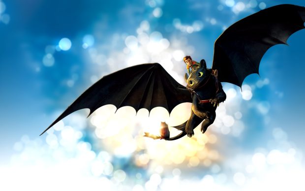 How To Train Your Dragon  Toothless Toy.