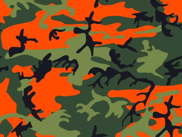 Hunter Orange Army Print Camouflage Ppt Backgrounds Pattern.