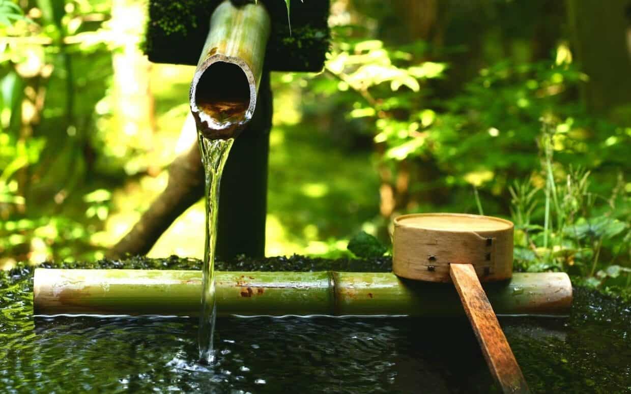 Fresh spring water flowing through bamboo pipe in a lush green forest, traditional Japanese water feature, tranquil nature scene, outdoor water fountain, eco-friendly landscape design.